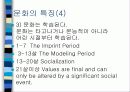 문화의  본질 5페이지