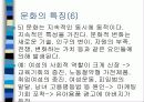 문화의  본질 7페이지