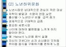 문화의  본질 17페이지