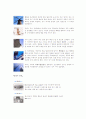 암웨이 유통과 마케팅 분석 21페이지