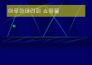 쇼핑몰 제작(아로마테라피) 1페이지