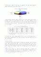 인터넷 포르노그라피, 그 표현의 자유와 한계 11페이지
