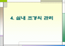 실내 조경 1페이지
