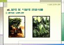 실내 조경 7페이지