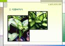 실내 조경 8페이지