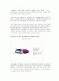 [무선통신] 삼성 애니콜이 LG 싸이언 보다 왜 잘팔리는가? 6페이지