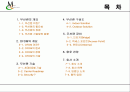 OFDM  무선랜 (Wireless LAN) 에 대한 이해와 분석 2페이지