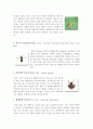 곤충의 특징 11페이지