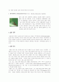 곤충의 특징 13페이지
