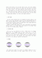 KTF의 인사채용에 대한 평가와 문제점 그리고 개선방향 3페이지