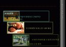 광고기획 및 제작-알리안츠 제일 생명 사례를 통한 광고 전략 분석 20페이지