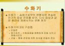 전화기의 종류 및 구성 그리고 송화기와 수화기의 원리 및 기능에 대한 이해 8페이지