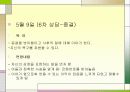 노인종합복지관 실습 사례 발표 프리젠테이션 32페이지