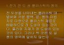 전도성 플라스틱 3페이지