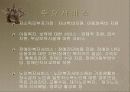 동사무소 사회복지전담공무원 실습발표 프리젠테이션 13페이지