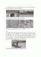 디자인과 생활 - 한국의 디자인 5페이지