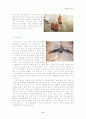 박쥐의 생태와 환경, 그리고 보존 6페이지