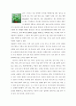 허브의 종류와 아로마테라피 5페이지