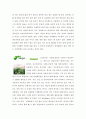 허브의 종류와 아로마테라피 13페이지