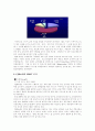 TV홈쇼핑 업태분석(현황,4P's....) 21페이지