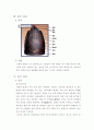 범종(梵鐘)과 종탑(鐘塔)의 비교분석 5페이지