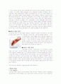 COPD(만성폐쇄성폐질환)과 파킨슨병 13페이지