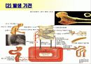 골다공증에 프리젠테이션을 위한 완벽 ppt자료! 6페이지