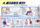 골다공증에 프리젠테이션을 위한 완벽 ppt자료! 11페이지