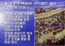 골다공증에 프리젠테이션을 위한 완벽 ppt자료! 26페이지