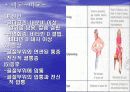 골다공증에 프리젠테이션을 위한 완벽 ppt자료! 34페이지