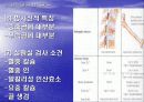 골다공증에 프리젠테이션을 위한 완벽 ppt자료! 35페이지