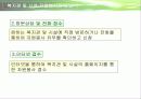 사회복지기관과 사회복지시설에서의 자원봉사 프리젠테이션 11페이지