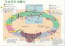 자낭균류와 담자균류 파워포인트 자료 7페이지