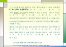 인터넷 서버에 대한 이해와 통합 솔류션 분석 11페이지