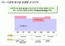 광고기획안-하이마트 사례를 중심으로 한 이론과 실제 9페이지