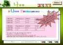 마케팅 기획-나뚜루 아이스크림의 브랜드 인지도 확장 및 매출액 활성화 방안 15페이지