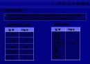 경영효율성-재정정보시스템 운영을 통한 아웃소싱-재정경제부 사례 8페이지