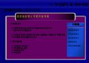 경영효율성-재정정보시스템 운영을 통한 아웃소싱-재정경제부 사례 19페이지