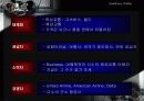미국 최고의 항공사-사우스웨스트 항공사 완전 분석 13페이지