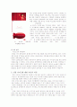 세이클럽 피망 마케팅 9페이지