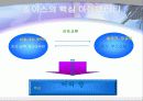 브랜드 관리 63페이지