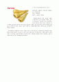 서양채소에 대하여 30페이지
