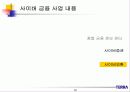 사업 기획서의 실제-정보통신업체 테라의 사업 계획서를 살펴본 기획서의 실제 58페이지
