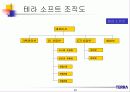 사업 기획서의 실제-정보통신업체 테라의 사업 계획서를 살펴본 기획서의 실제 98페이지