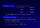 가설검정 5페이지