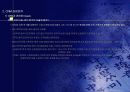 CRM 29페이지