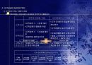 CRM 54페이지