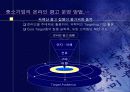 인터넷 마케팅 활용 31페이지