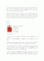 수원 화성 답사 보고서 8페이지