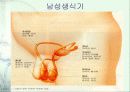 생식 4페이지